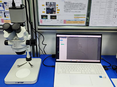 단자 섹션 검사기